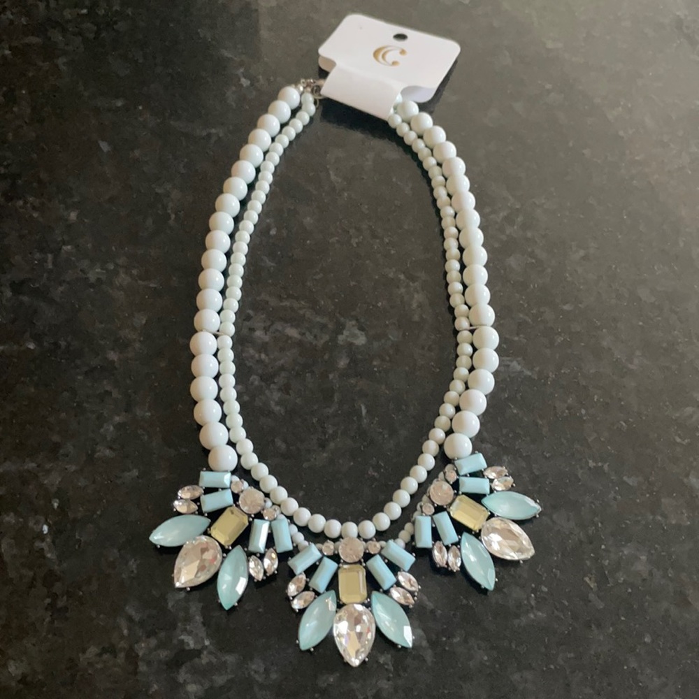 NEW! CC Charming Charlie Statement Necklace